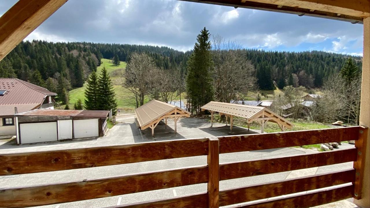 Appartement Ideal Pour Ete Et Hiver, Situe Au Pied Des Pistes De Ski Et Des Sentiers De Randonnee Prémanon Exterior foto